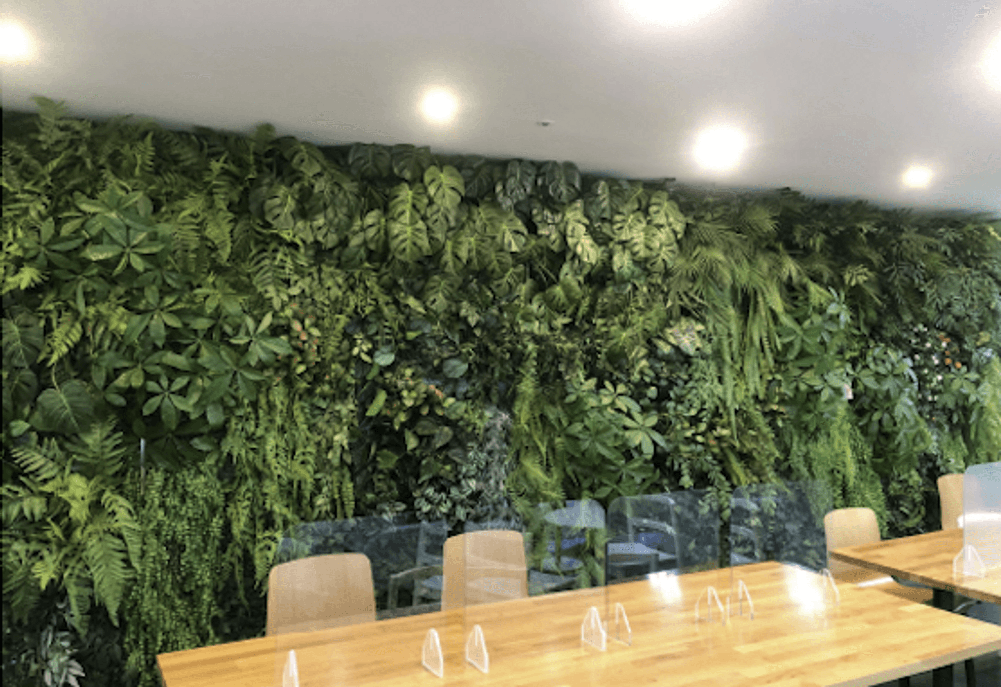 https://groupby-public-image.s3.ap-northeast-2.amazonaws.com/startups/52/1676544486/스사1.png